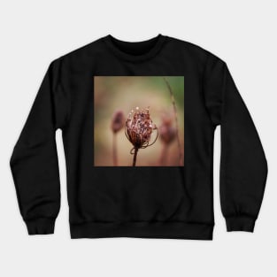 Seed head Crewneck Sweatshirt